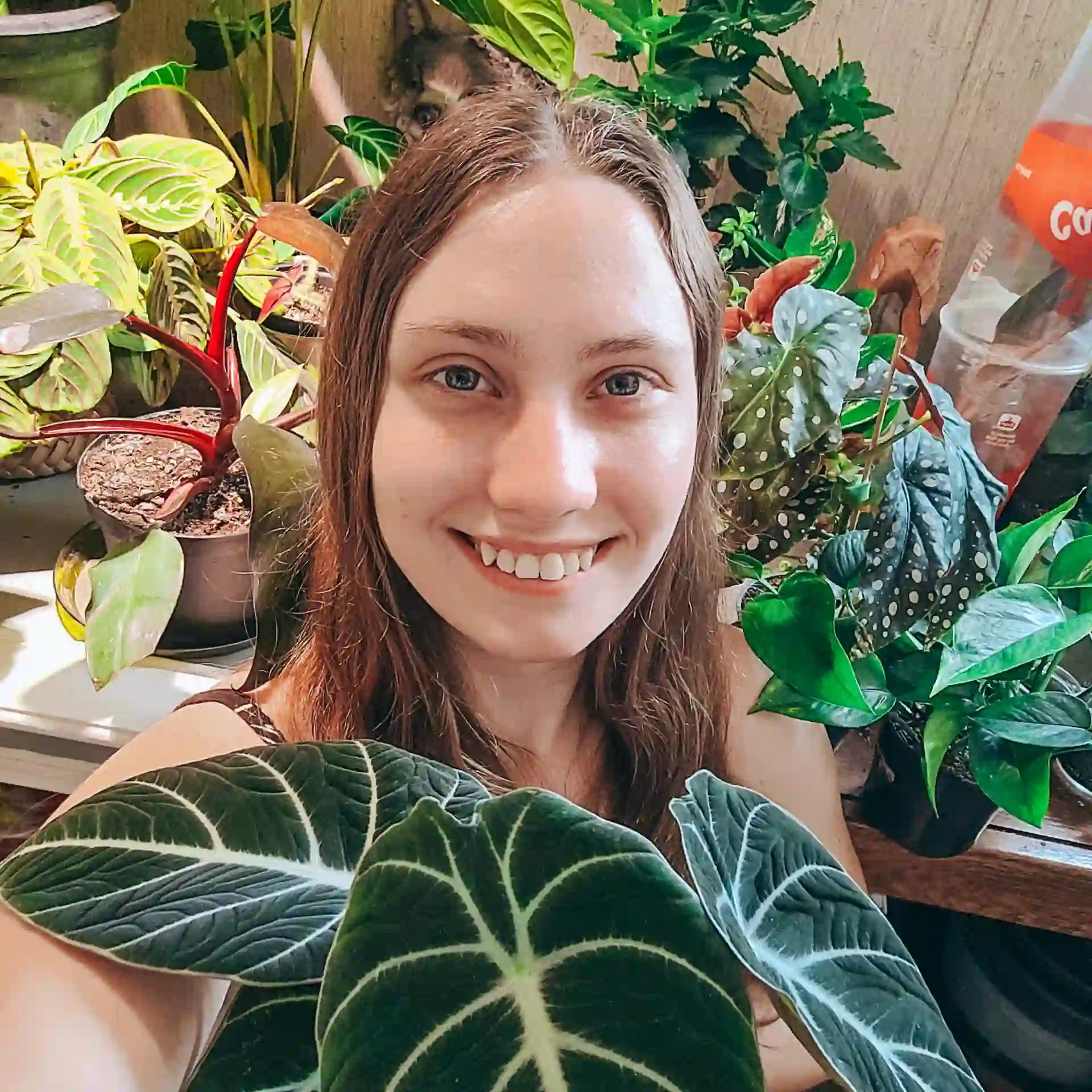 Mae's Props & Pots (maika.mom) Blossm